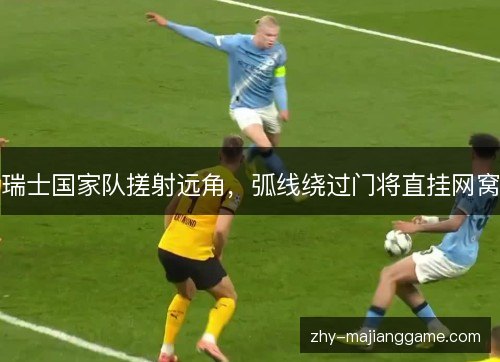 瑞士国家队搓射远角，弧线绕过门将直挂网窝